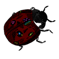 Lady Bug Print